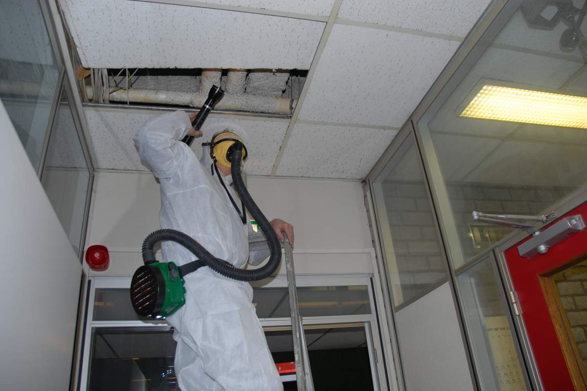 Asbestverwijdering herhaling arbeiders (8u)
